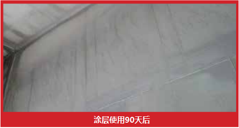 图片11.png/