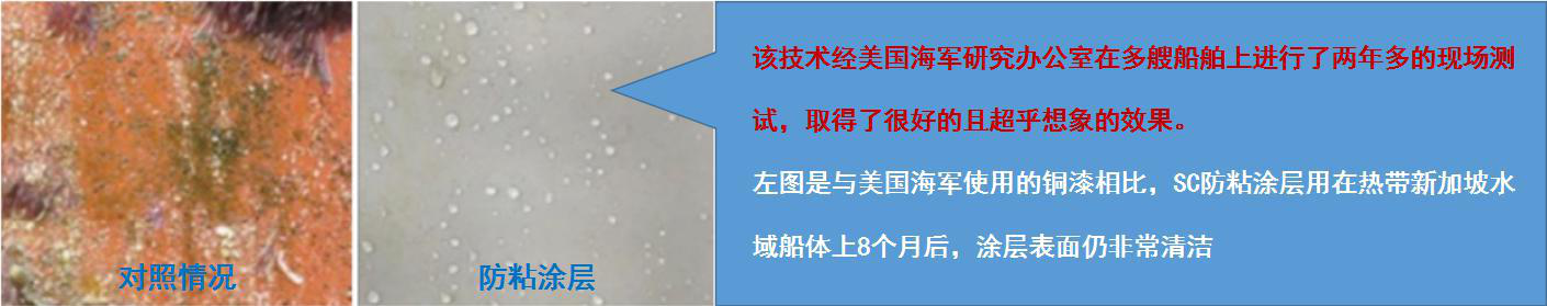 图片1.png/