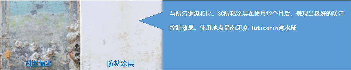 图片2.png/